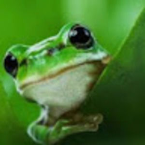 Meet your Posher, Kenzie